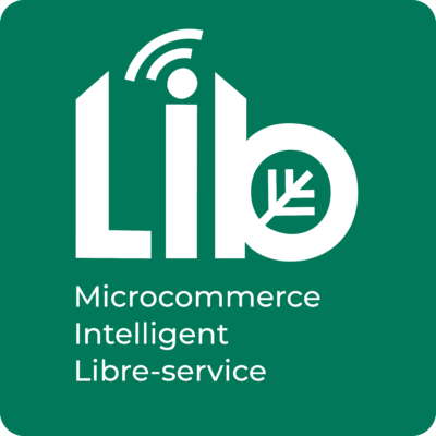Microcommerce LIB Inc